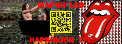 молекула духа Будённовск