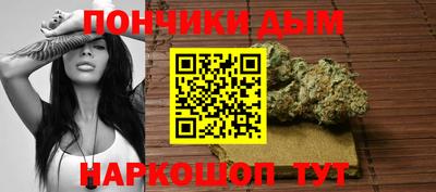 молекула духа Будённовск