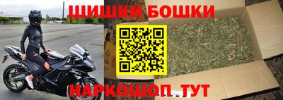 молекула духа Будённовск
