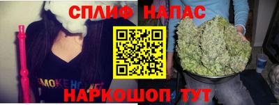 молекула духа Будённовск