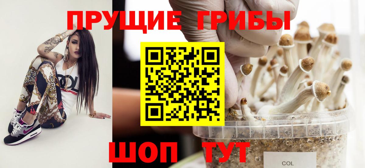 Лиски  Псилоцибиновые грибы мухоморы  где продают наркотики  Вход с VPN  Галлюциногенные грибы Magic Shrooms 
